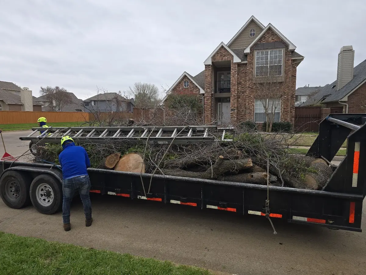 Expert Lot Clearing with proper safety equipment in Albemarle